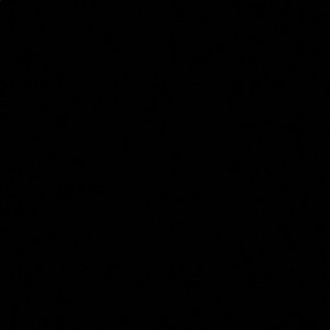 Meet your Posher, Vickie